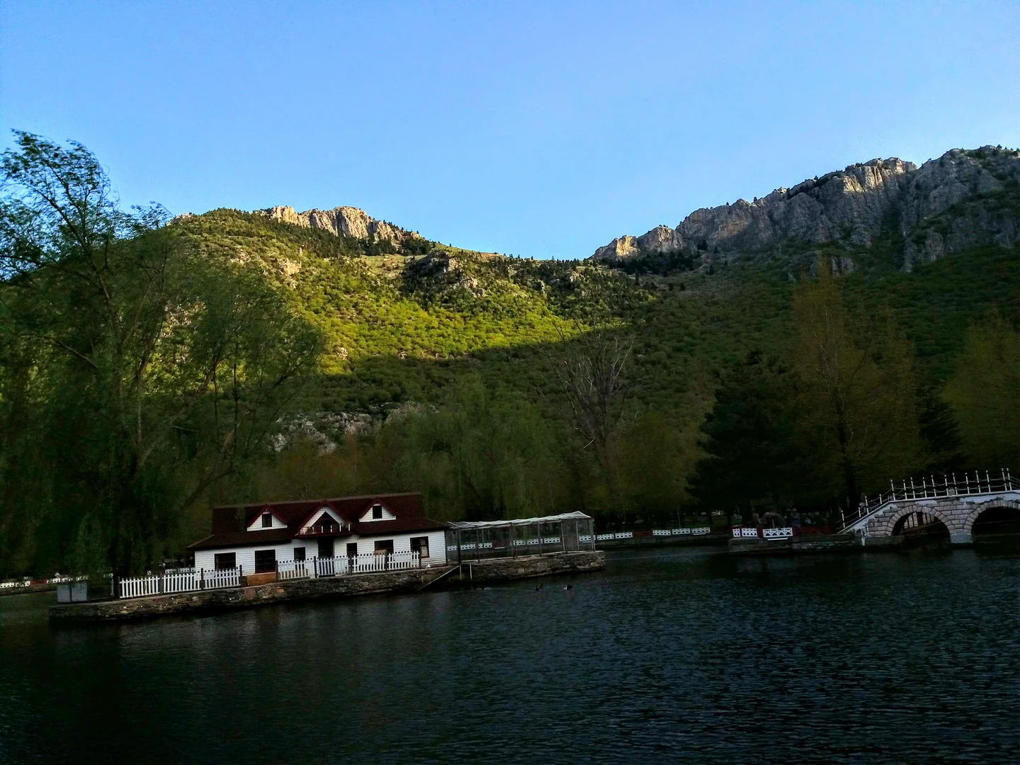 Ankara Kuğulu Park